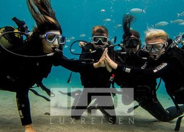 Padi Open water Tauchkurs für Anfänger  photo